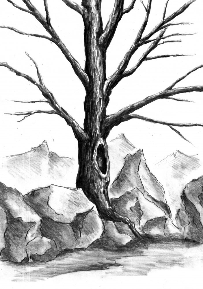  作： 