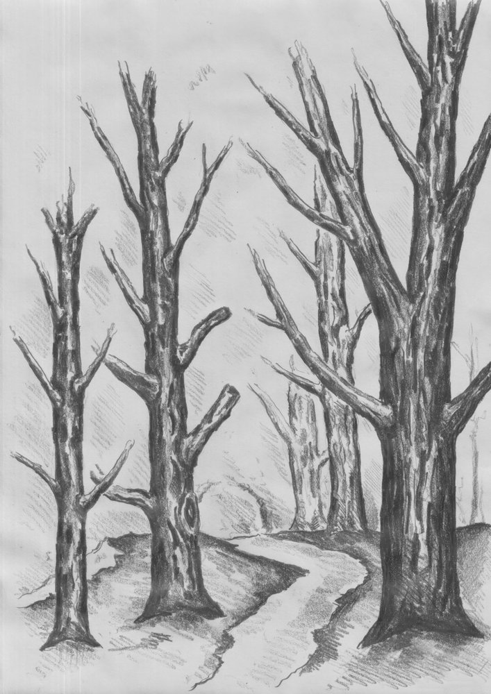  作： 