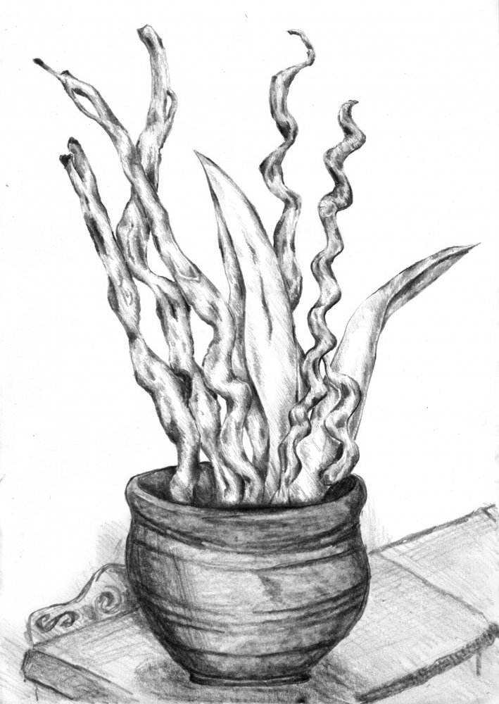  作： 