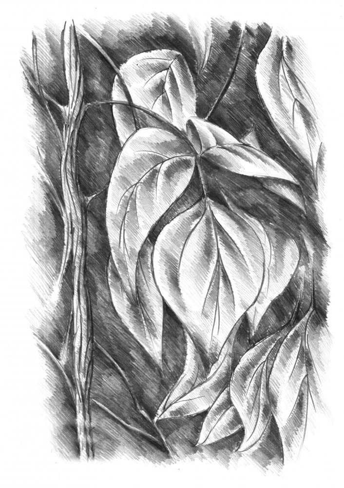  作： 