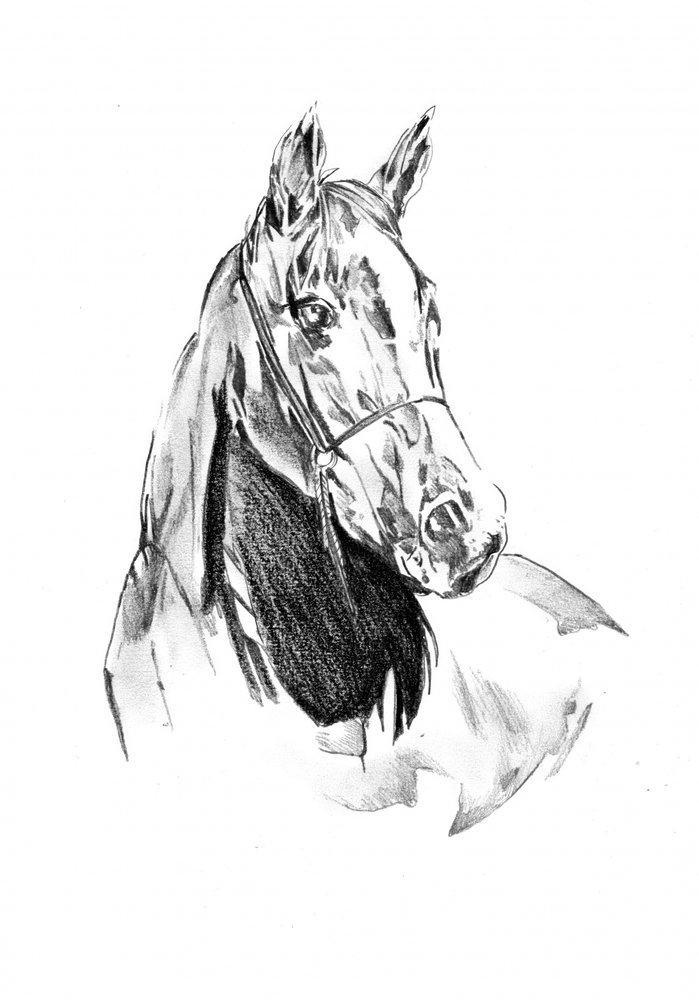  作： 