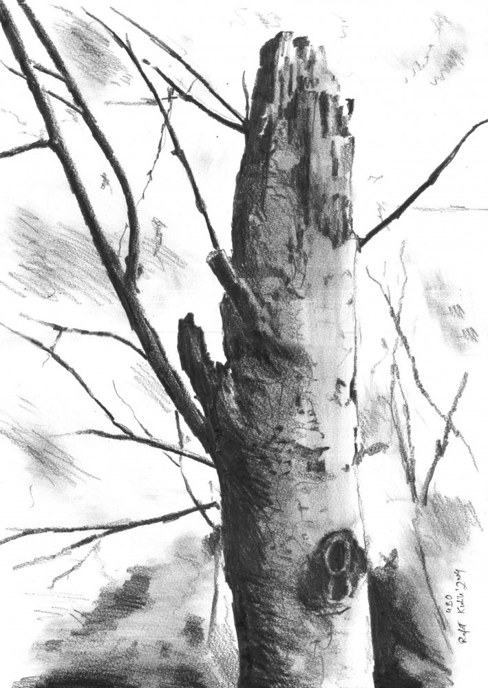  作： 