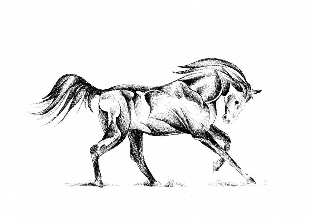  作： 