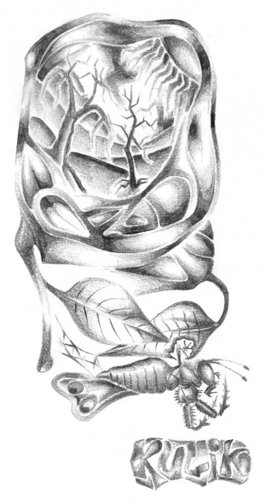  作： 