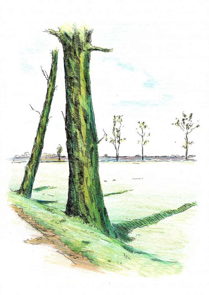  作： 