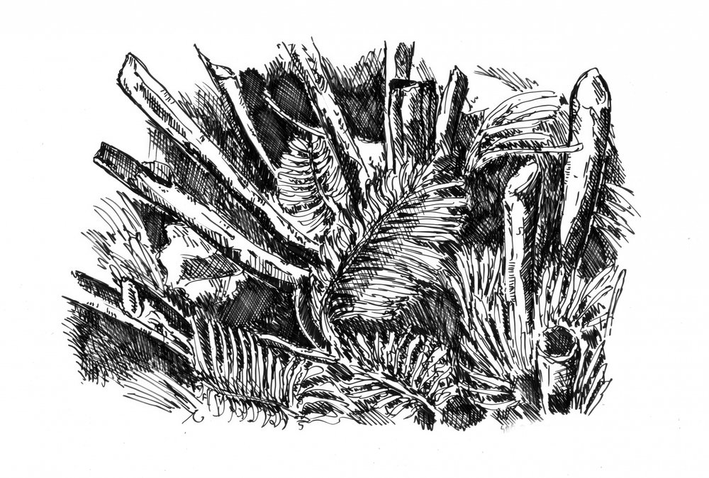  作： 
