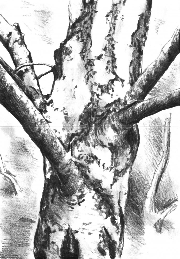  作： 
