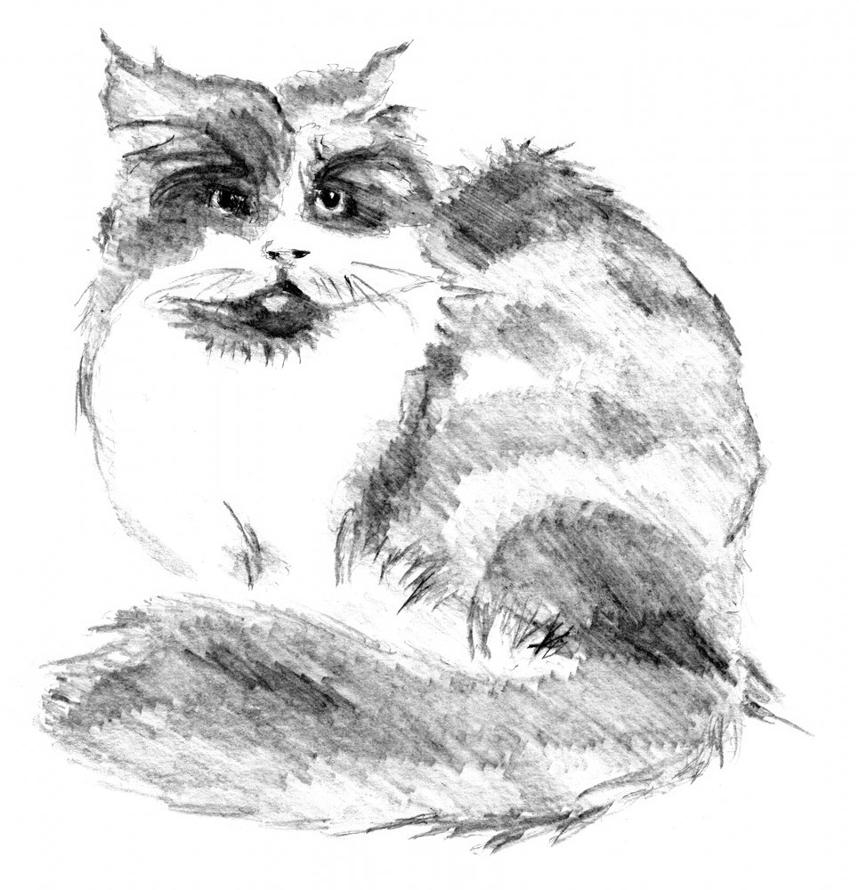  作： 