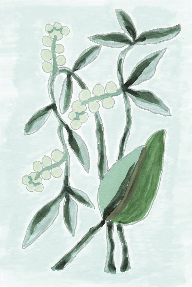 グリーンの植物水彩画 作： 
