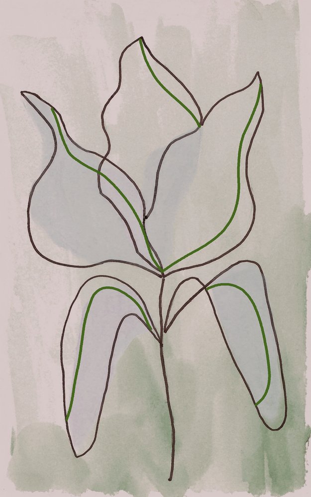ミニマルな植物の輪郭 作： 