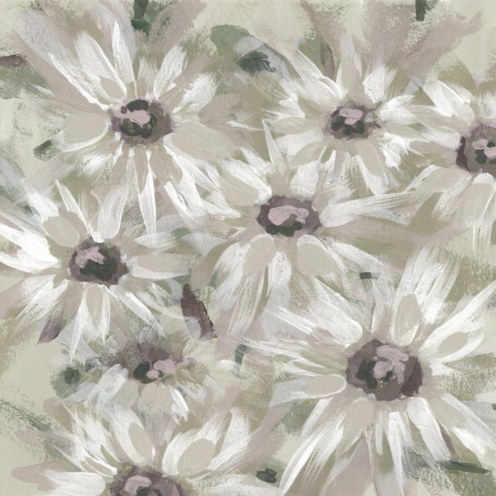 柔らかなデイジーの花 作： 