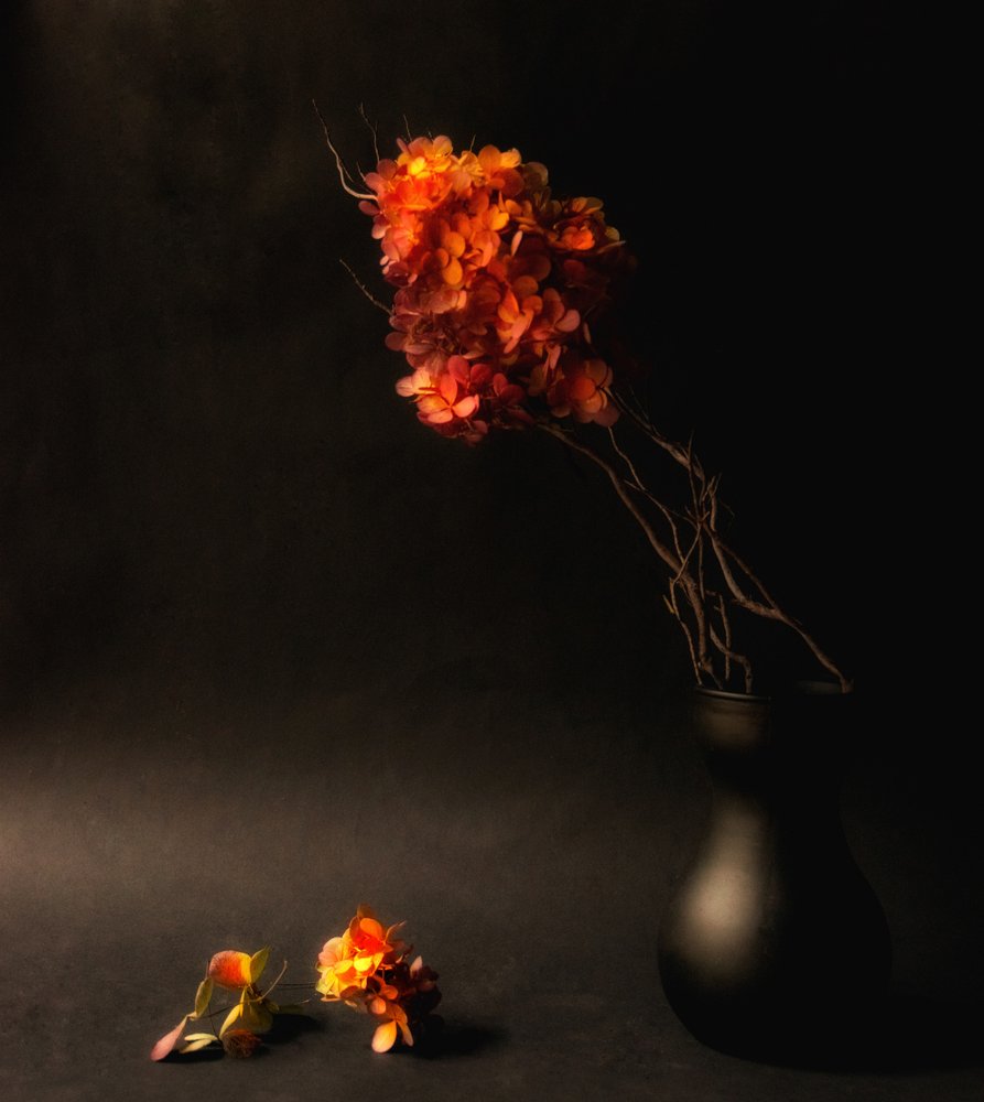 物憂げな秋の花 作： 