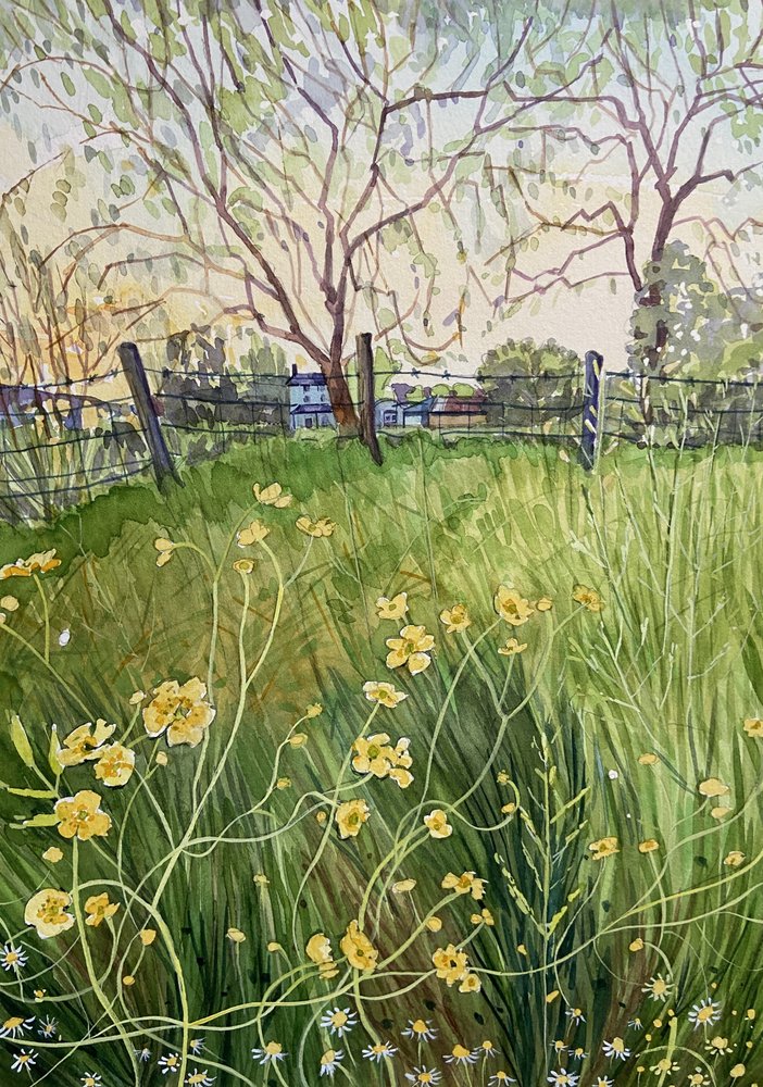 野の花と柵 作： 
