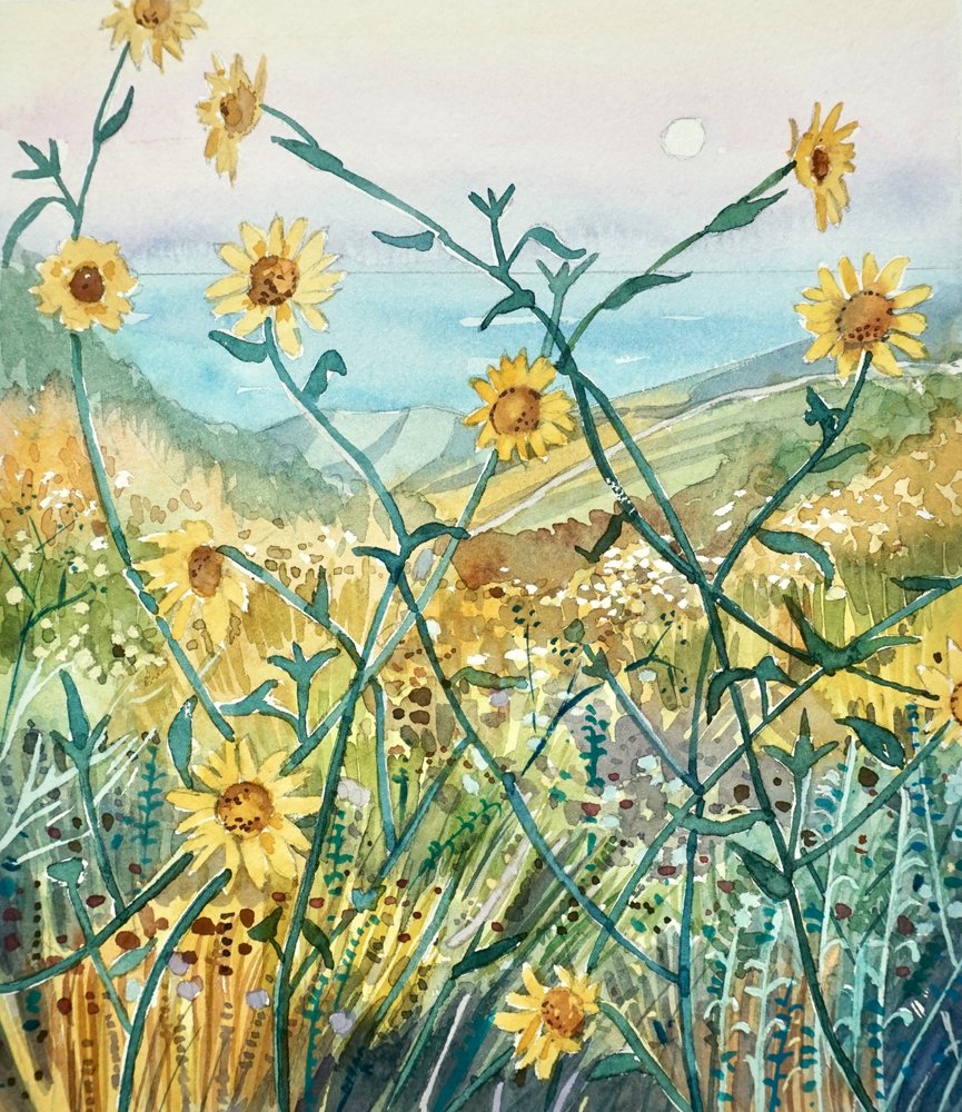 日差しの降り注ぐ野の花と海の景色 作： 