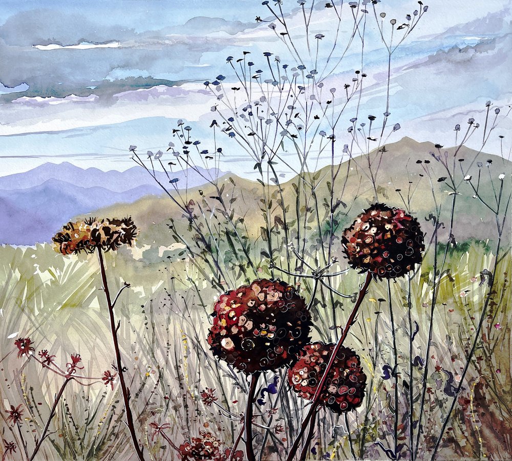 野の花と山々 作： 