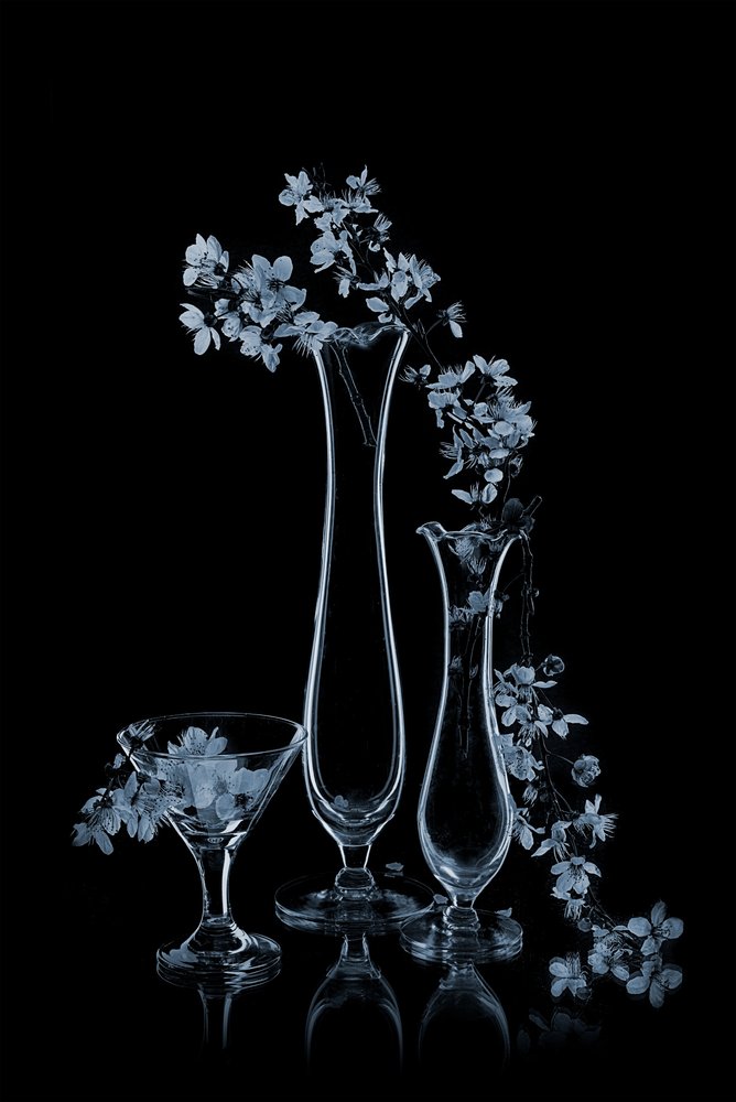 ガラスの花瓶に挿された青い花 作： 