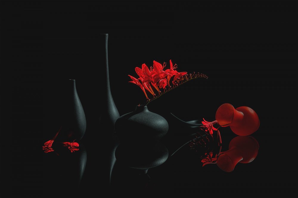 深紅の花が咲く黒い花瓶 作： 