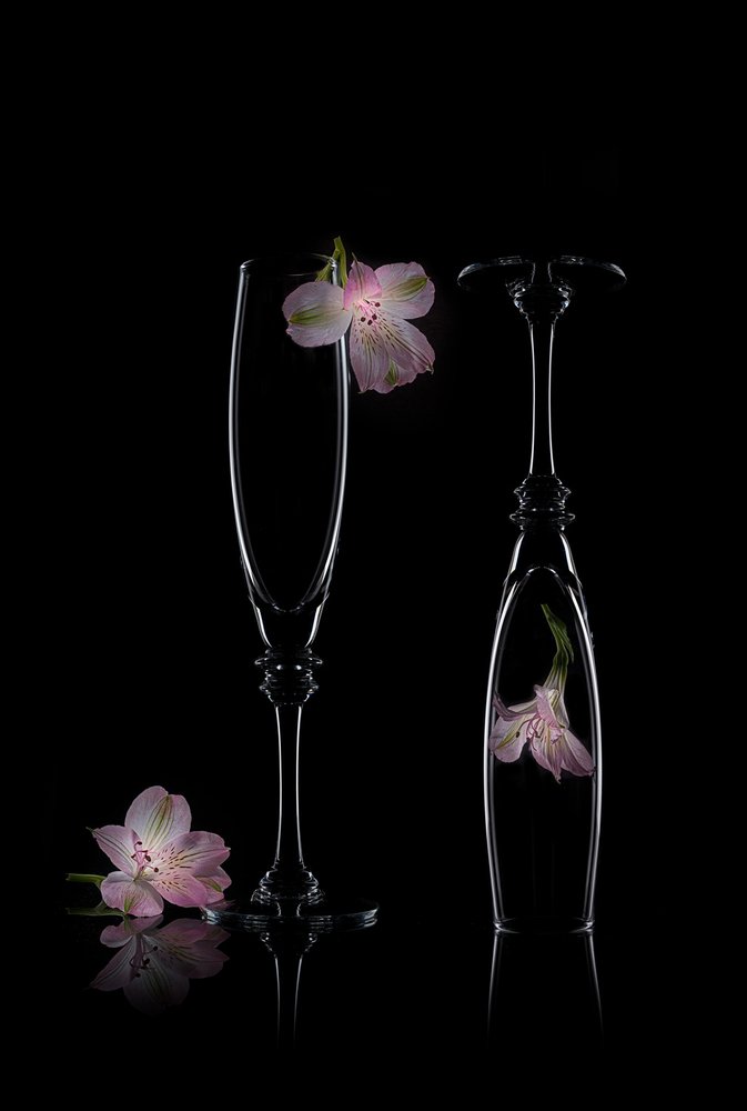 繊細で優雅な花の美しさ 作： 