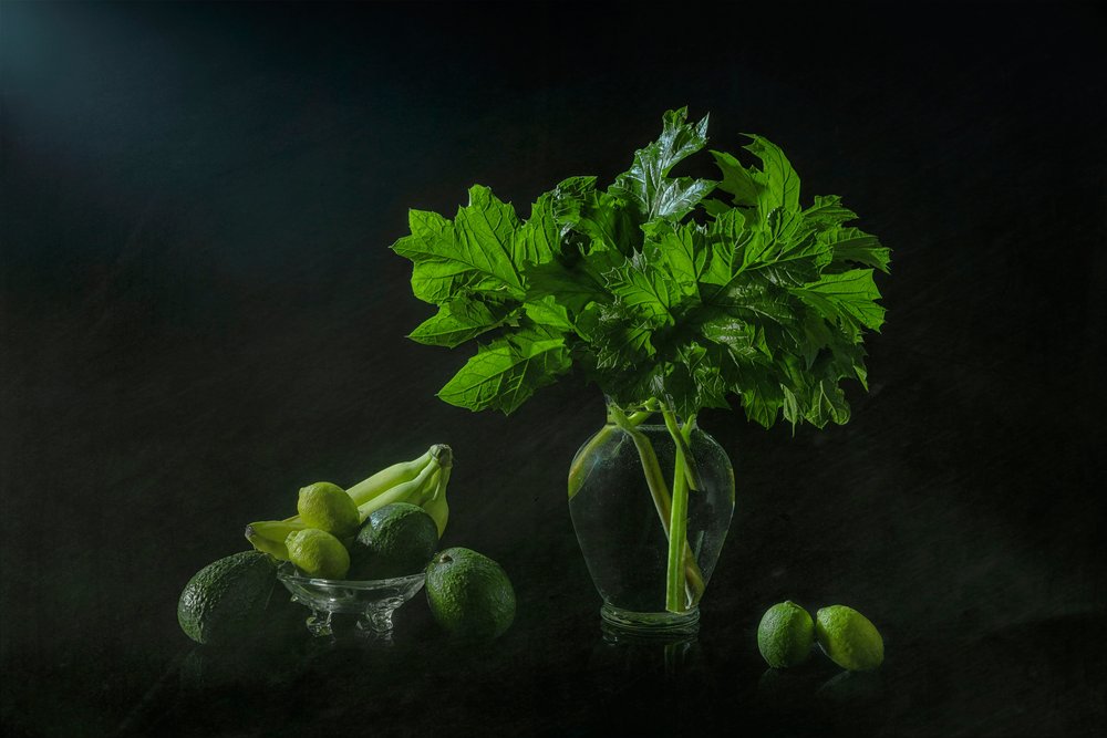 緑豊かな植物の静物画 作： 