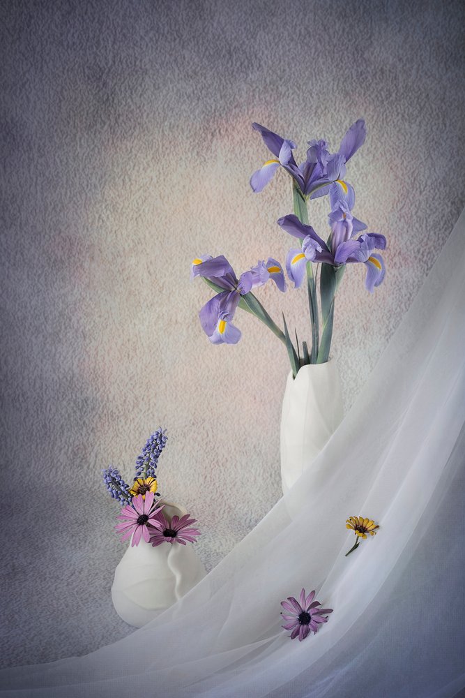 紫のアイリスの静物画 作： 