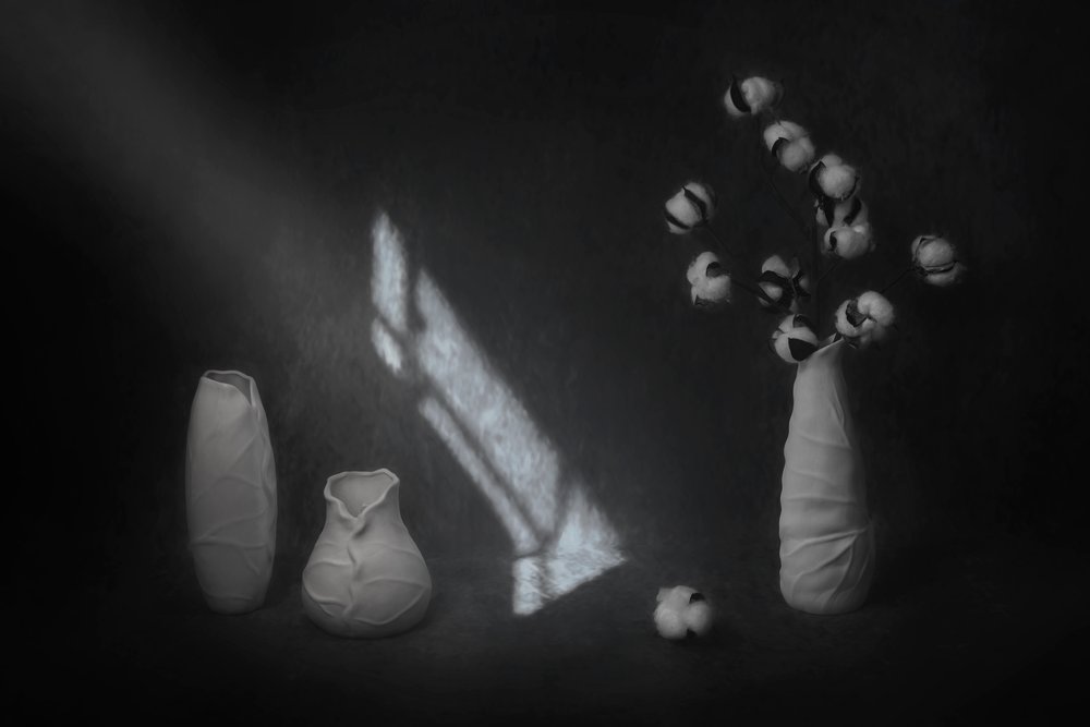 穏やかな綿の静物画 作： 