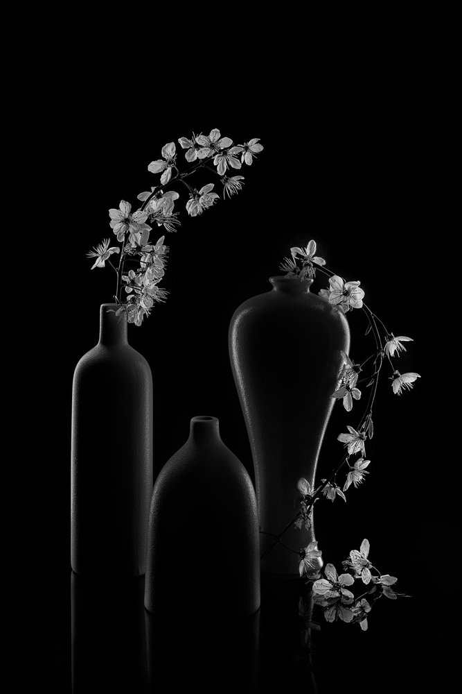 穏やかな花の生け花 作： 