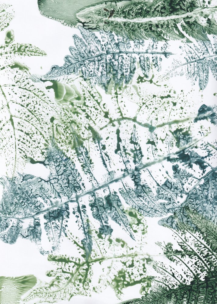 植物のシダをモチーフにした作品 作： 