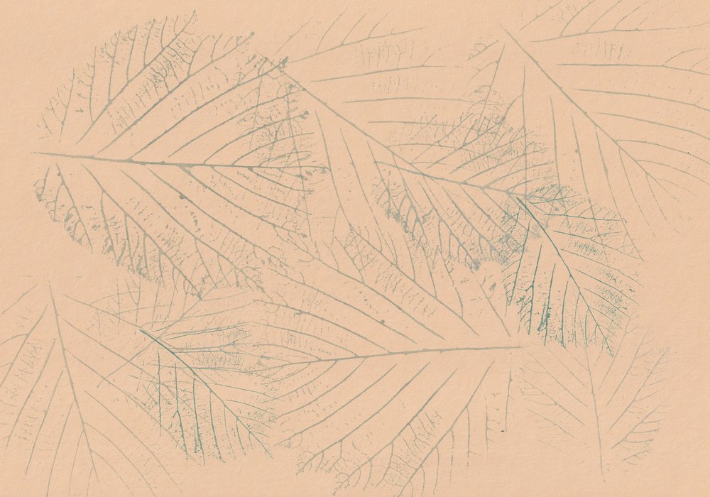 植物の葉の模様 作： 