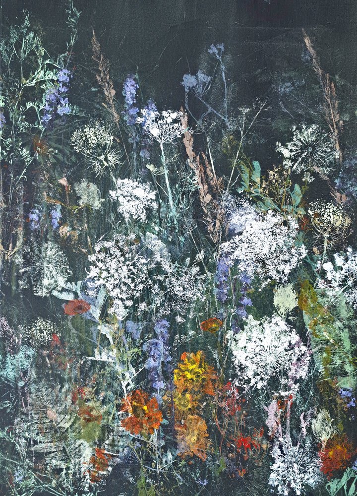真夜中の野の花の開花 作： 