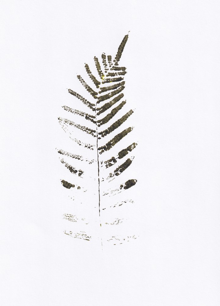  作： 