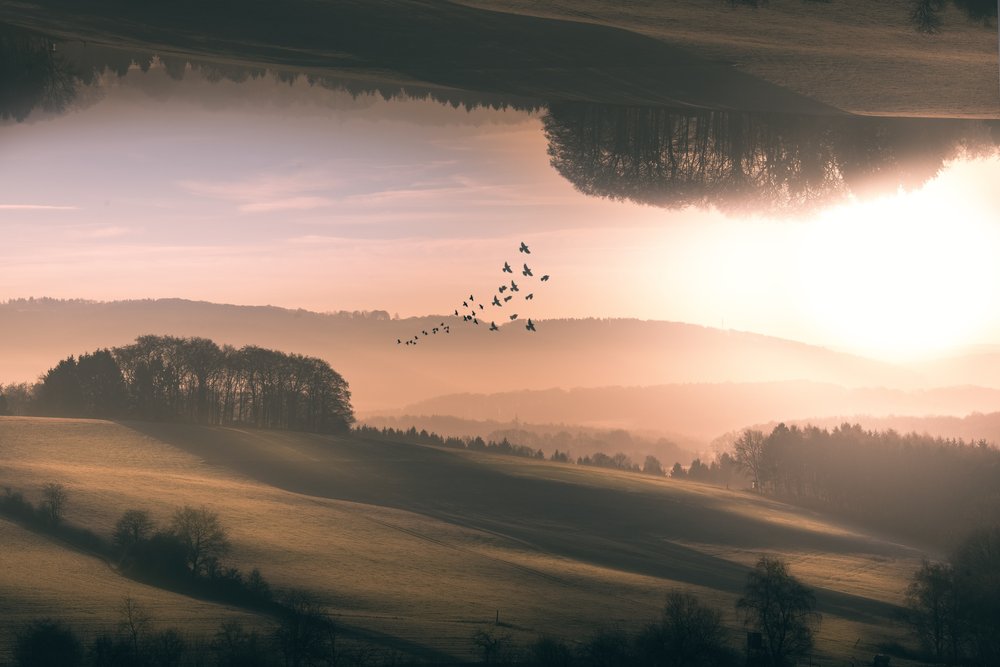  作： 