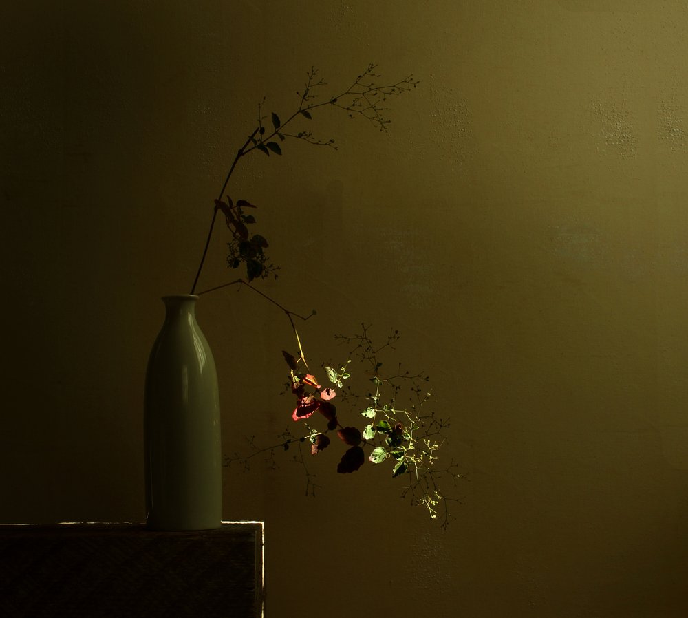 ムーディな植物の静物画 作： 