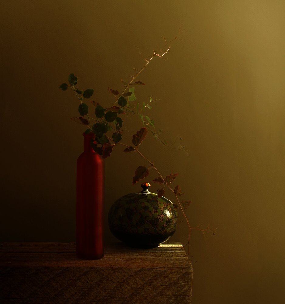 赤い瓶の暗い静物画 作： 