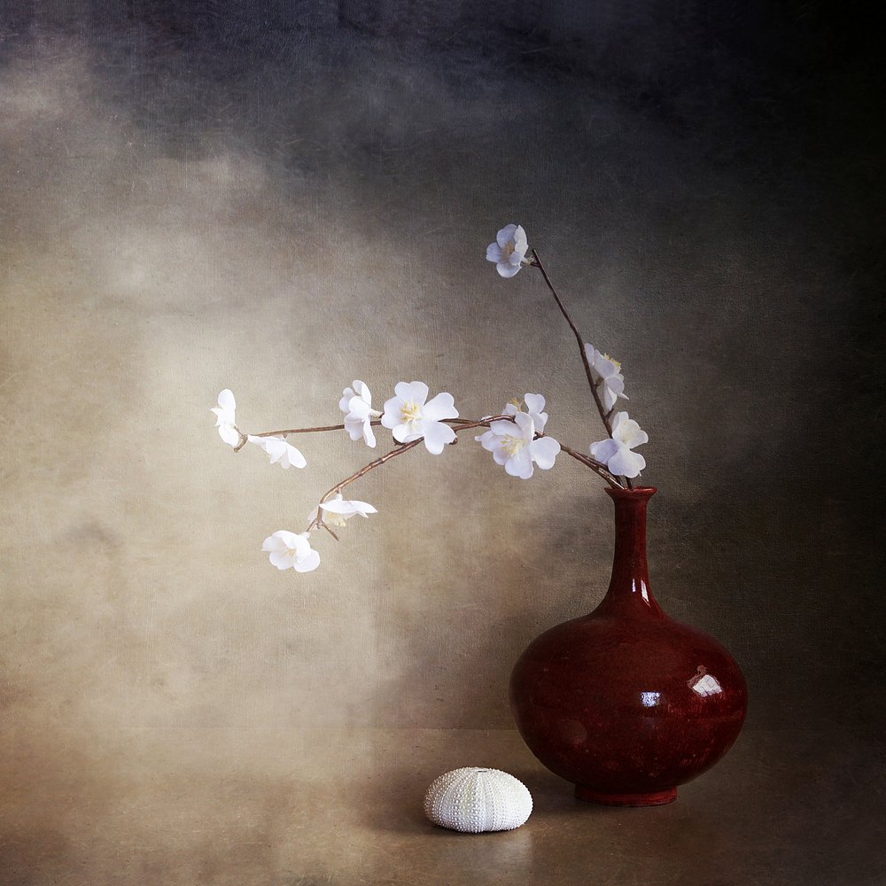 静かな桜 作： 