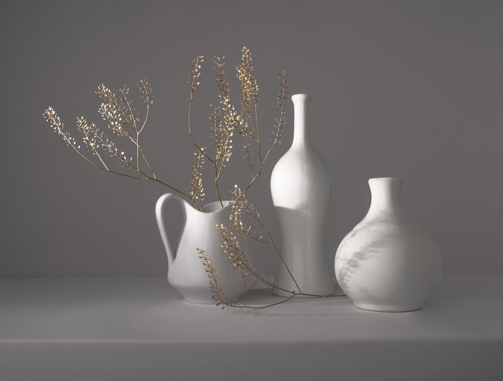 ミニマルな植物の静物画 作： 
