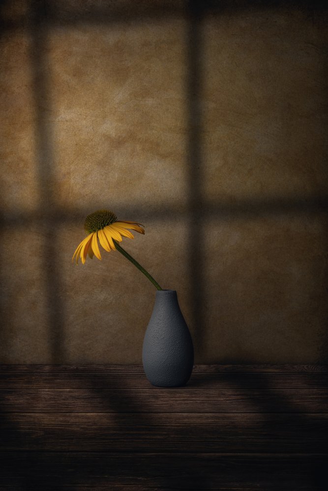 黄色い花の影 作： 