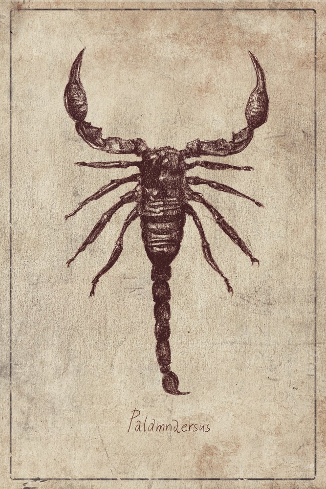  作： 