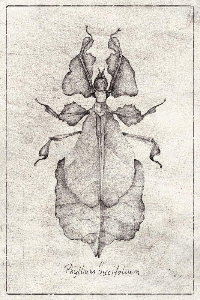  作： 