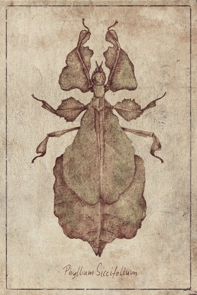  作： 