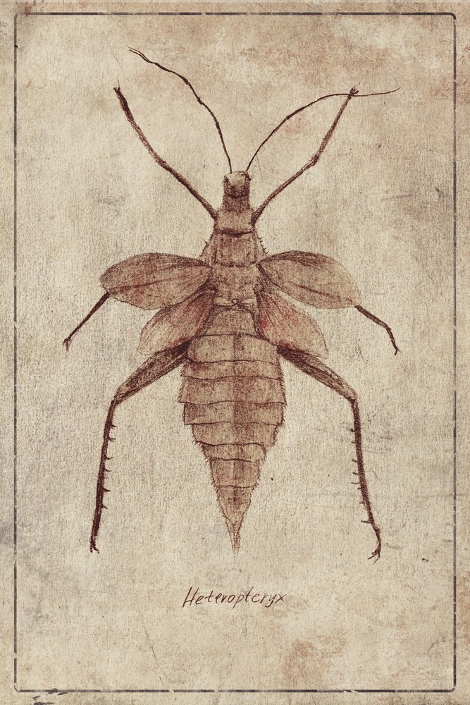  作： 