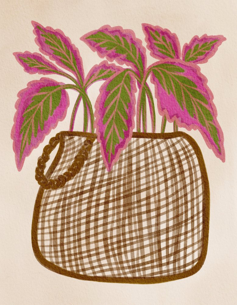色とりどりの鉢植え 作： 