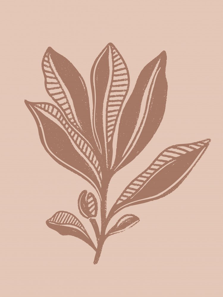 自然植物画 作： 