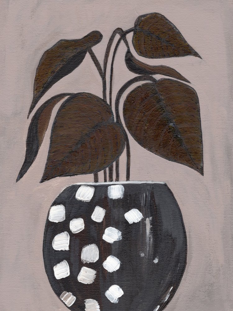 水玉模様の観葉植物 作： 