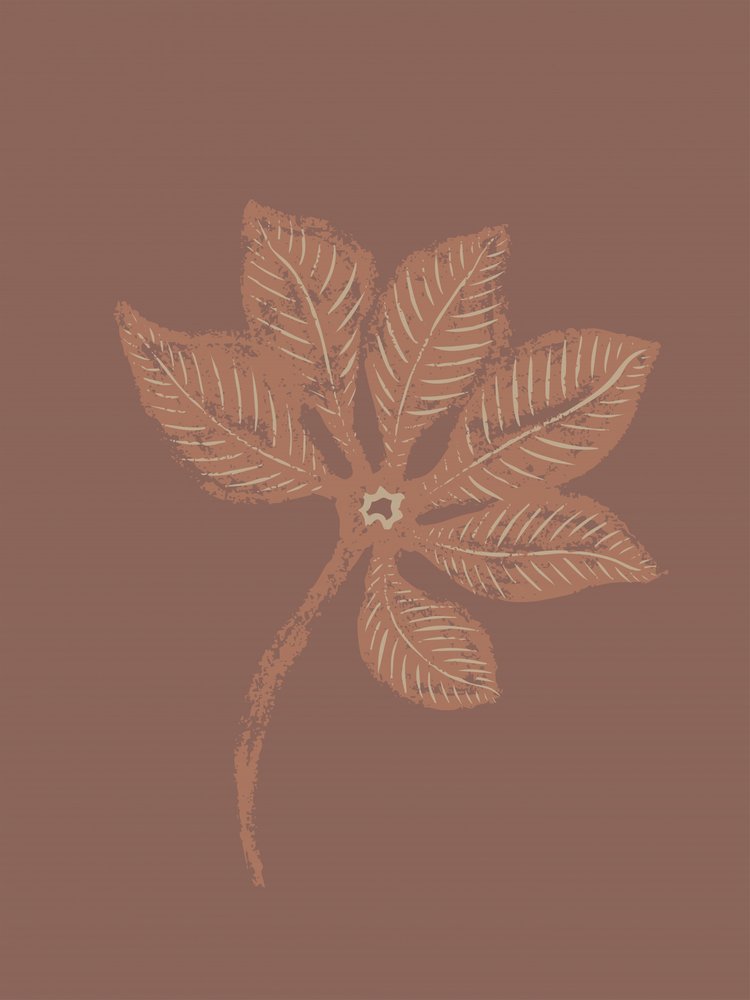 質感のある植物の葉 作： 