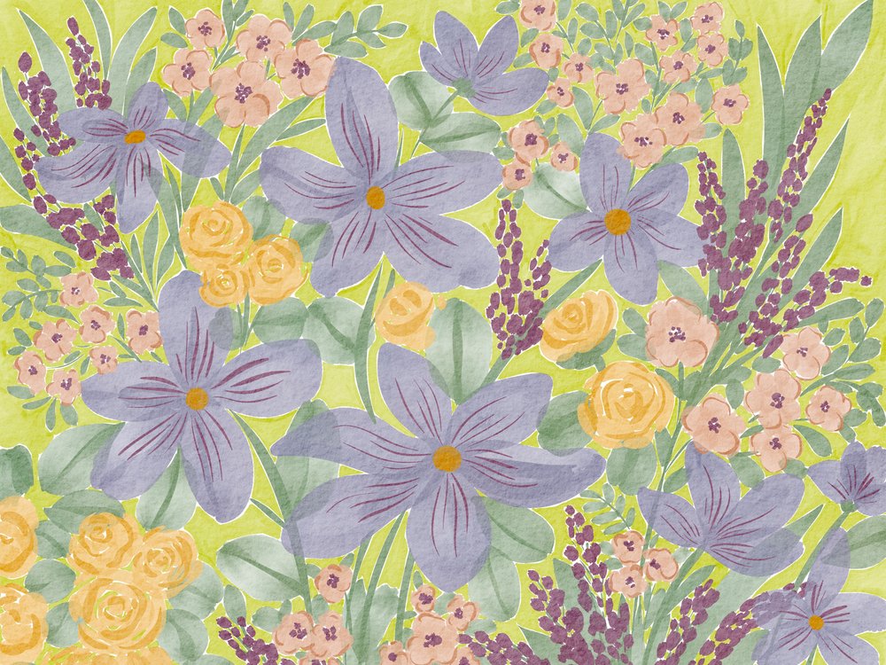 色鮮やかな庭の花 作： 