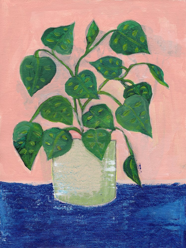 色鮮やかな鉢植えの観葉植物 作： 
