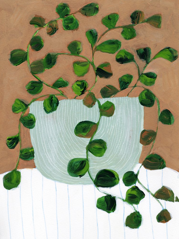 温かい観葉植物の鉢 作： 