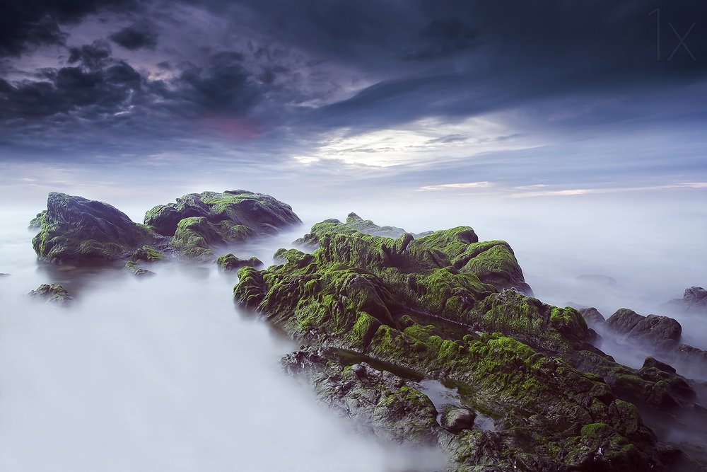 幻想的な苔むした海辺の風景 作： 