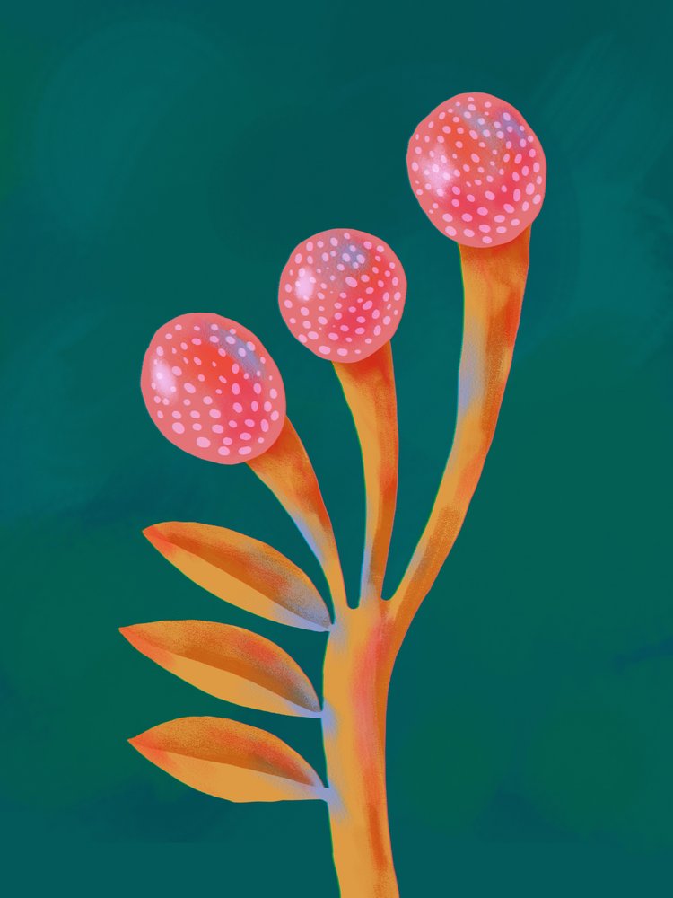 奇想天外なファンタジーの植物 作： 