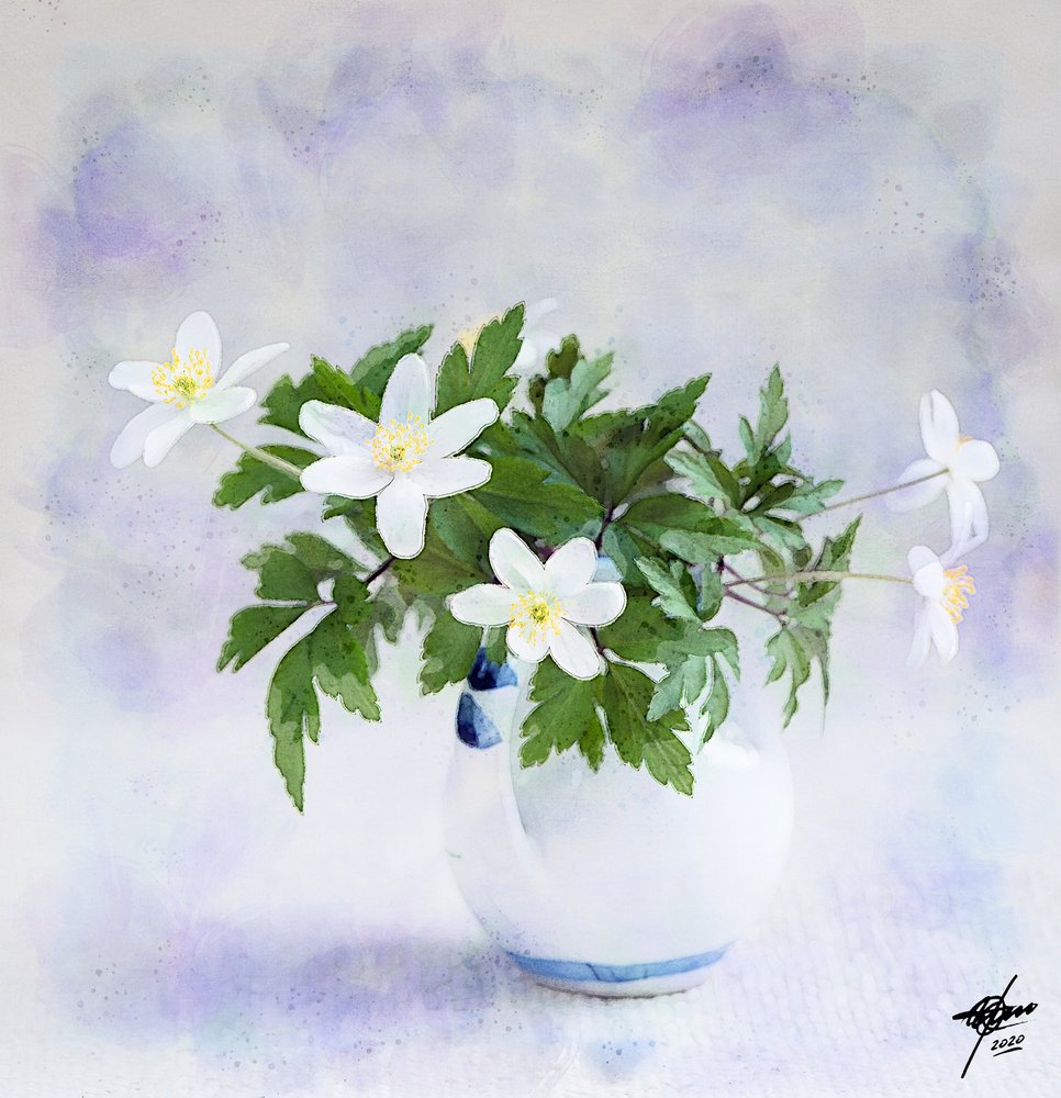 可憐な白い春の花 作： 